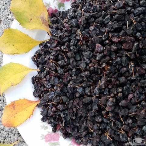 تصویر 2 از خرید و قیمت زرشک سیاه هسته دار + فروش صادراتی